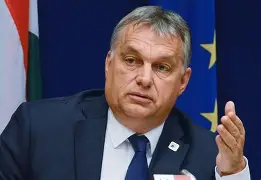 关于匈牙利队孜孜不倦,一往无前向前冲的信息 关于匈牙利队孜孜不倦,一往无前向前冲的信息