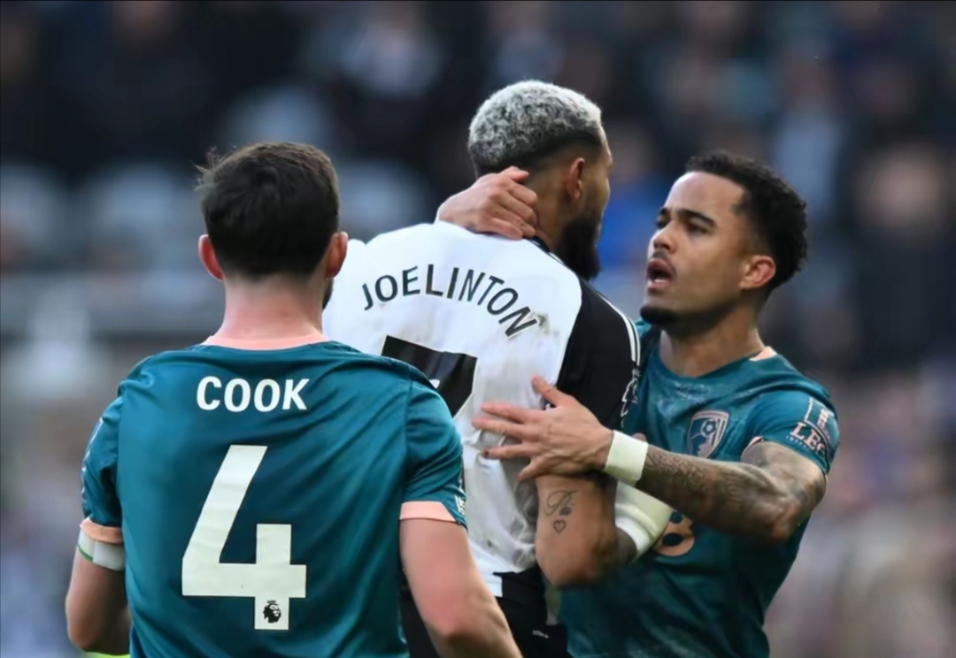 纽卡斯尔绝杀南安普顿,实现反超 纽卡斯尔绝杀南安普顿,实现反超