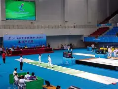 普林斯洛在击剑比赛中获得好成绩的简单介绍 普林斯洛在击剑比赛中获得好成绩的简单介绍