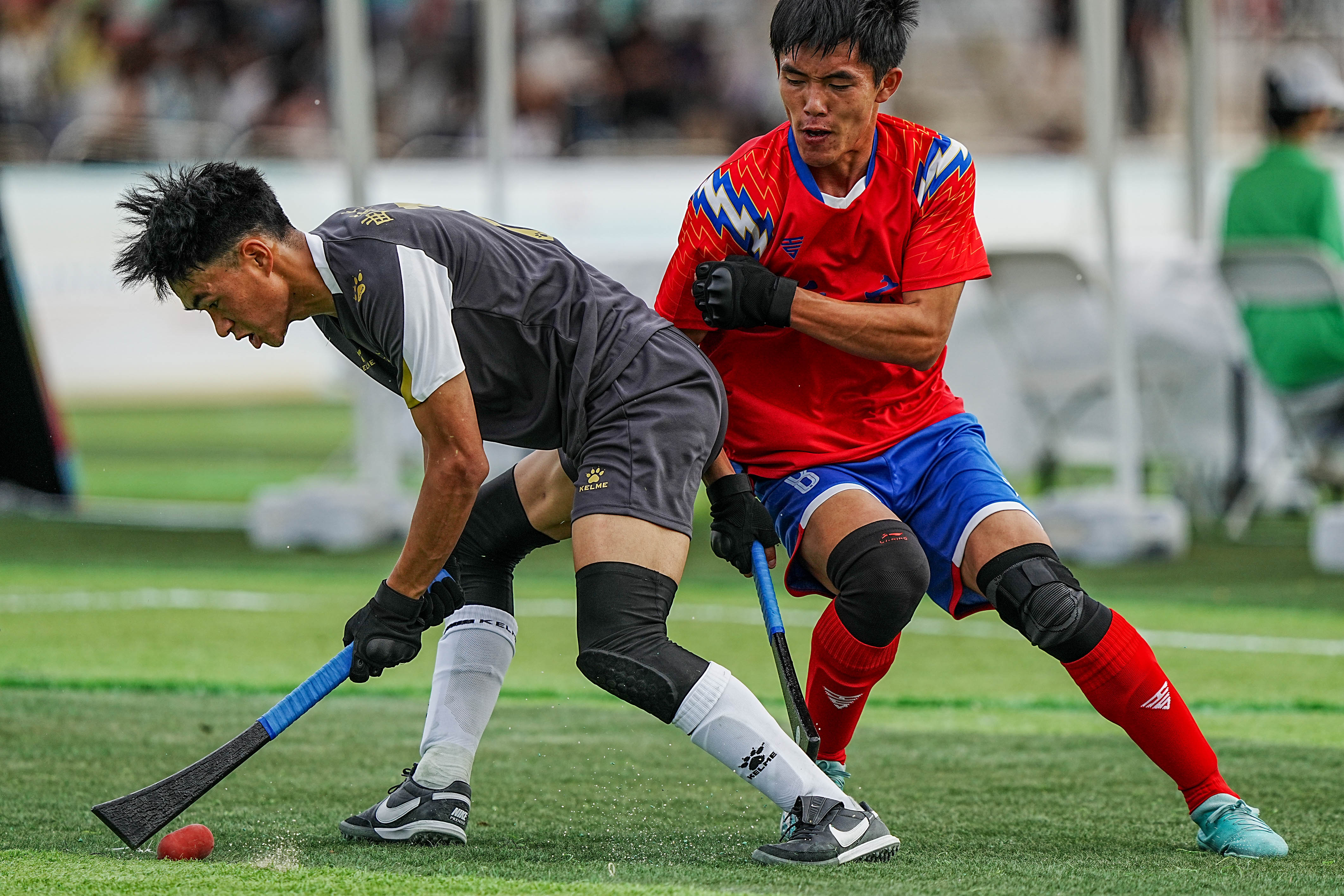 青海队实力突增,实现胜率大幅提升 青海队实力突增,实现胜率大幅提升